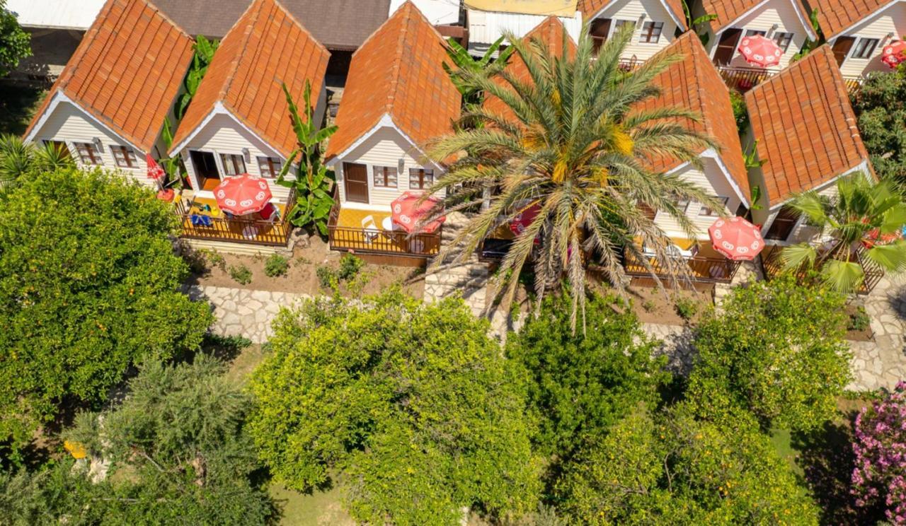 Clover Magic Nova Beach Hotel سيدي المظهر الخارجي الصورة