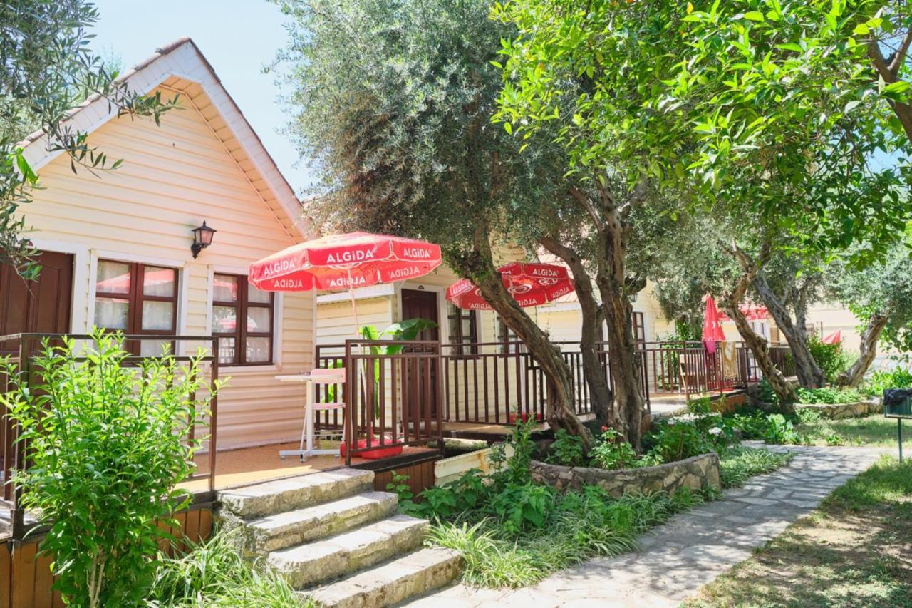 Clover Magic Nova Beach Hotel سيدي المظهر الخارجي الصورة