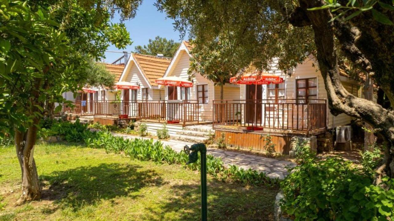 Clover Magic Nova Beach Hotel سيدي المظهر الخارجي الصورة
