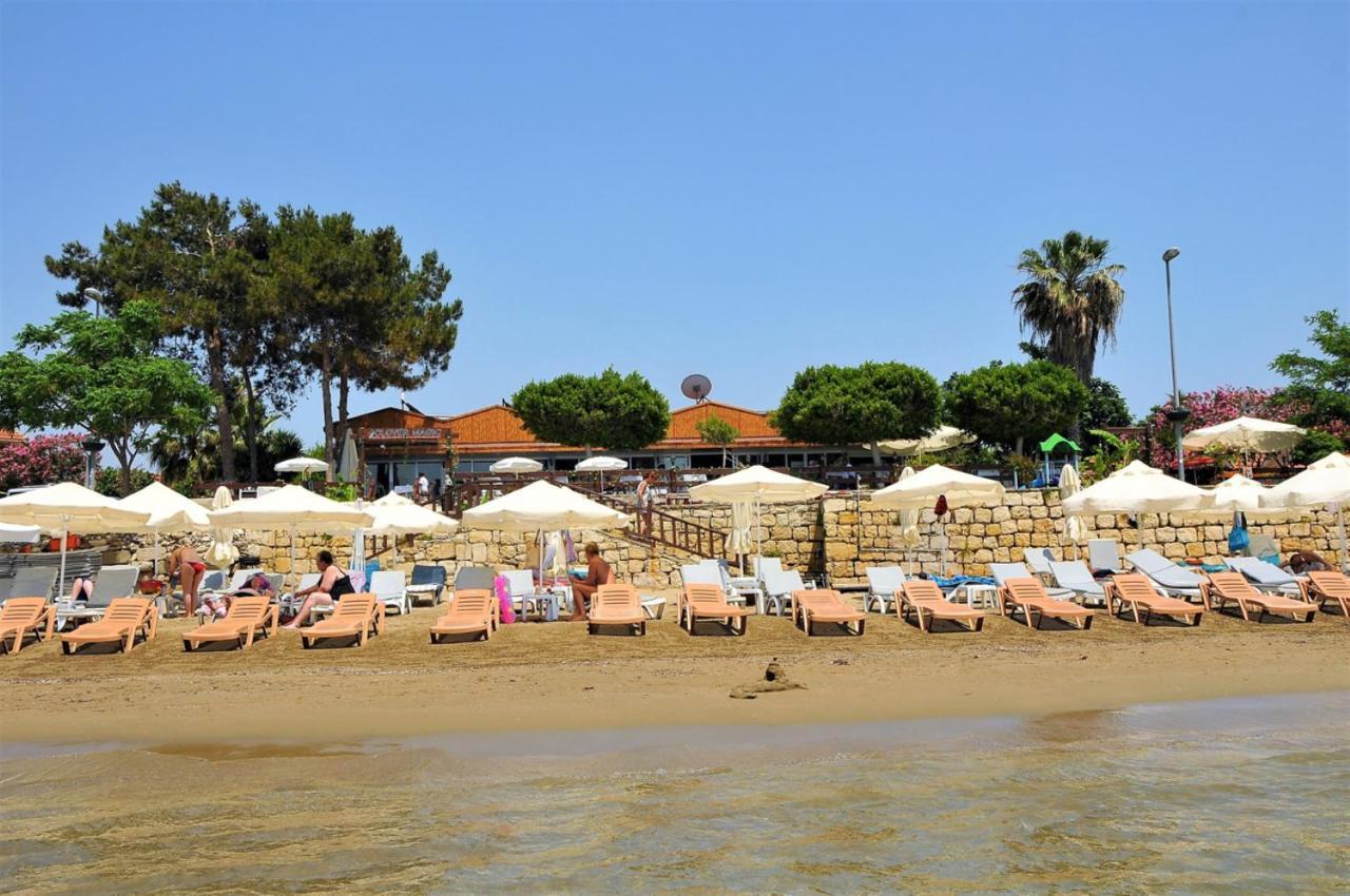Clover Magic Nova Beach Hotel سيدي المظهر الخارجي الصورة