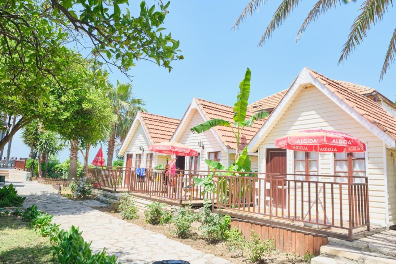 Clover Magic Nova Beach Hotel سيدي المظهر الخارجي الصورة